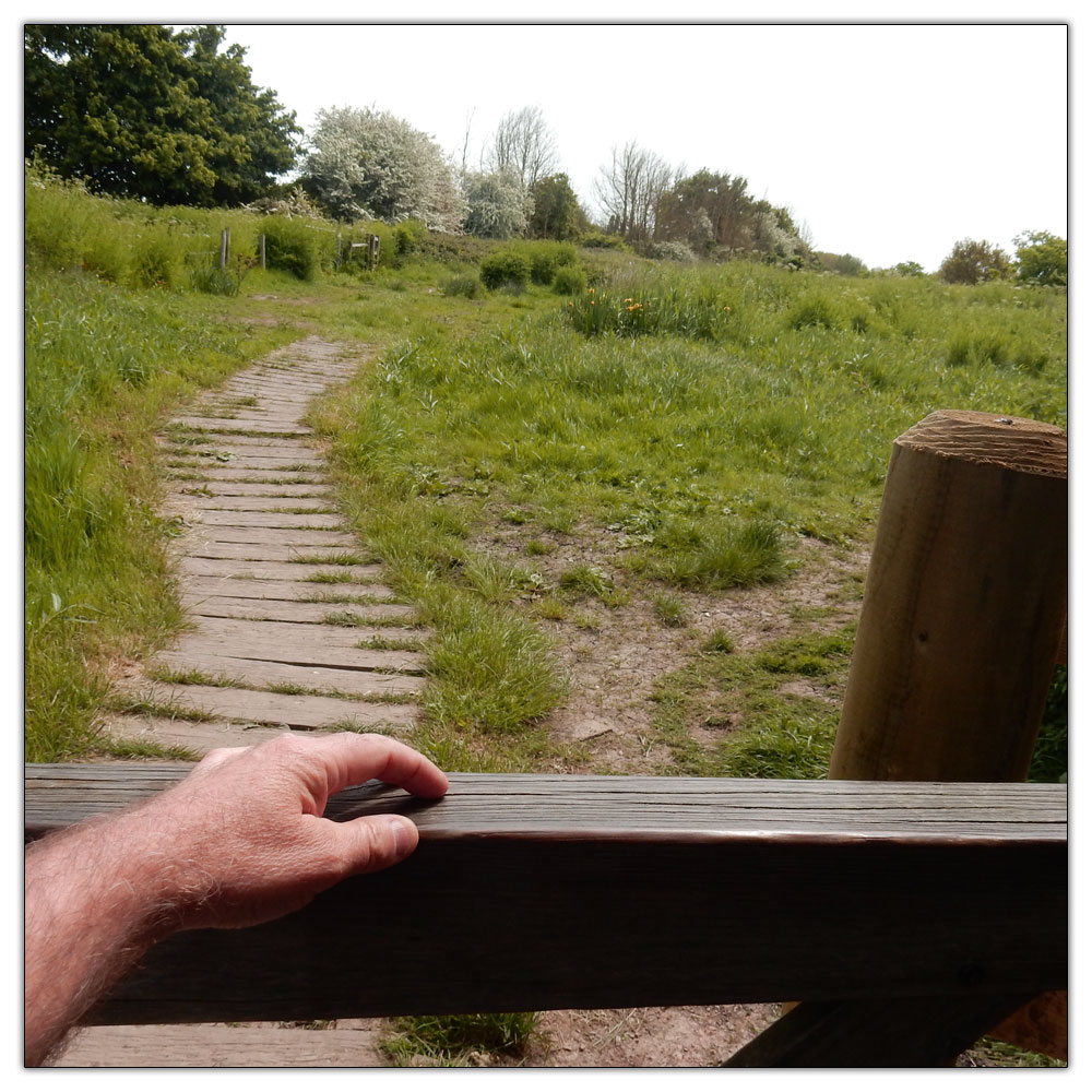 Fishbourne Meadow Loop, 