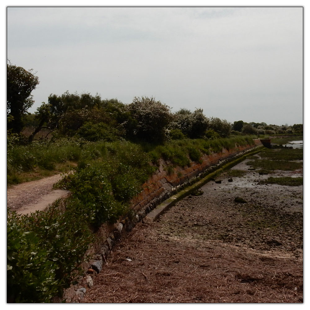 Fishbourne Meadow Loop, 