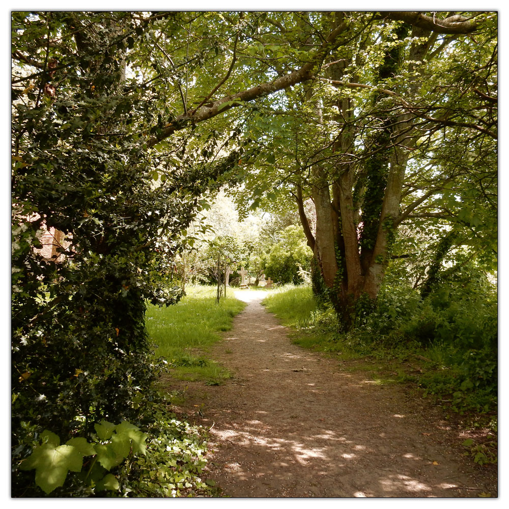 Fishbourne Meadow Loop, 