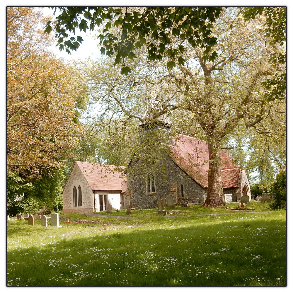 Fishbourne Meadow Loop, 