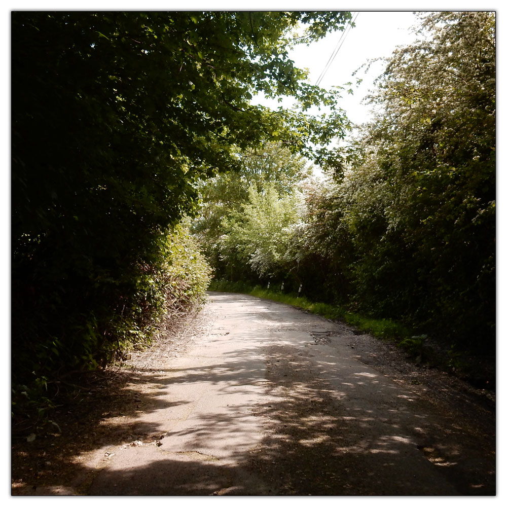 Fishbourne Meadow Loop, The dry church lane