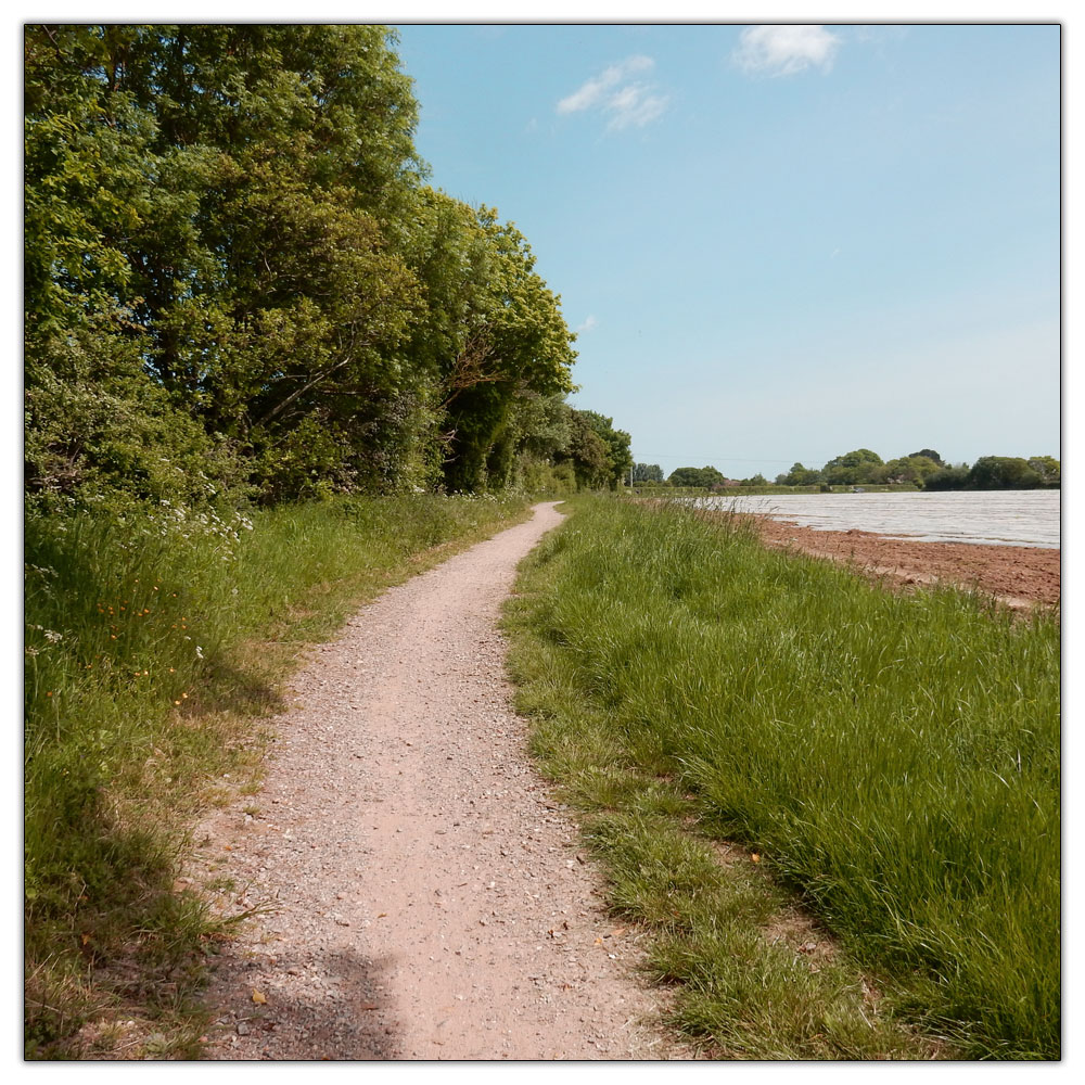 Fishbourne Meadow Loop, Heading back