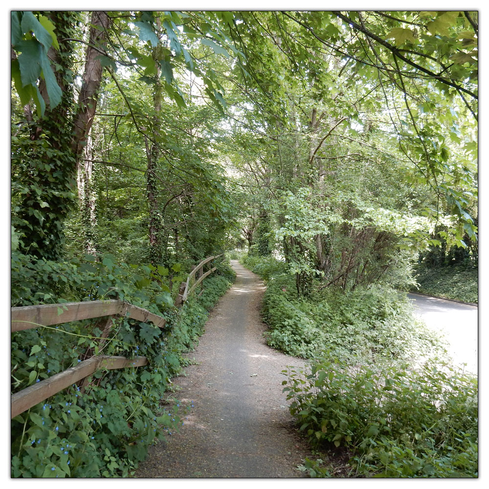 Fishbourne Meadow Loop, 