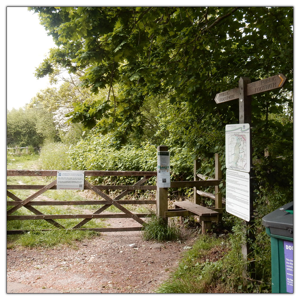 Fishbourne Meadow Loop, 