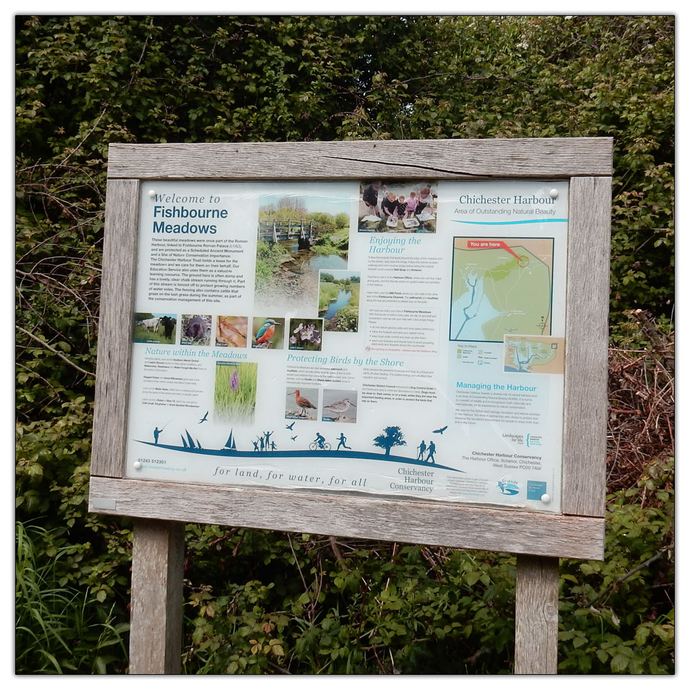 Fishbourne Meadow Loop, 