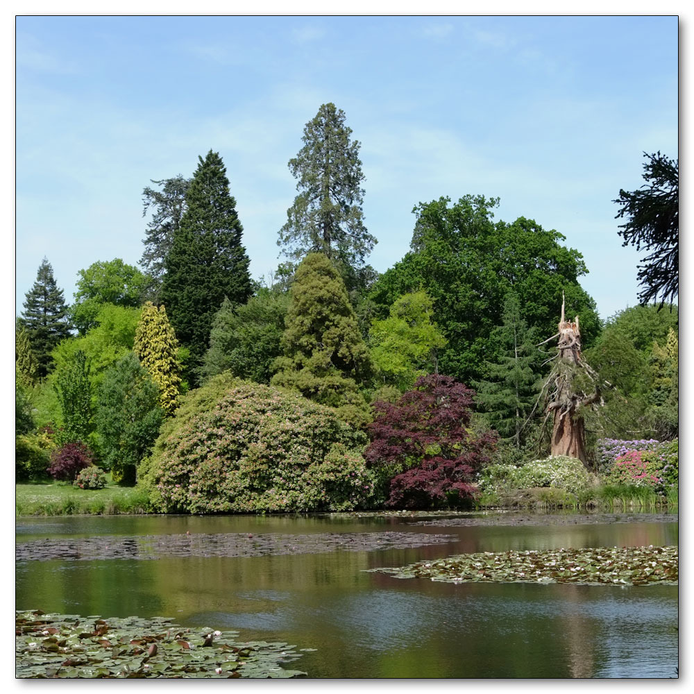 Sheffield Park, 