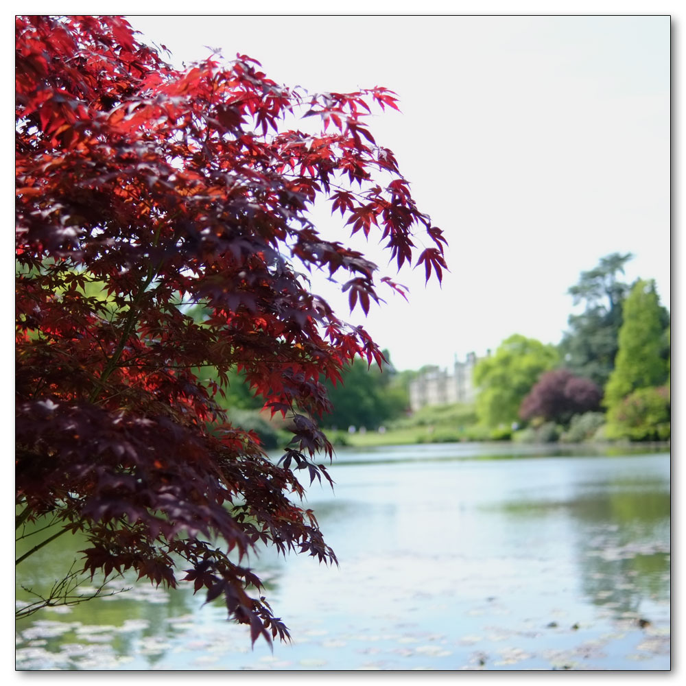 Sheffield Park, 