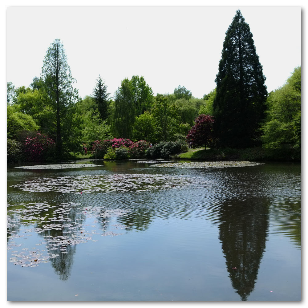 Sheffield Park, 