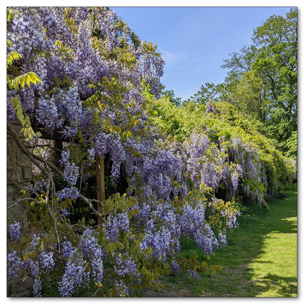 Nymans Gardens and House, 