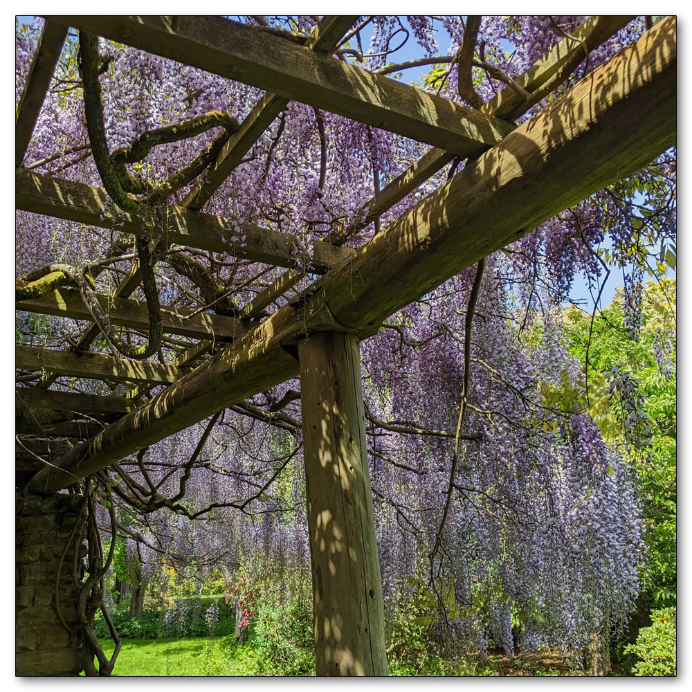 Nymans Gardens and House, 