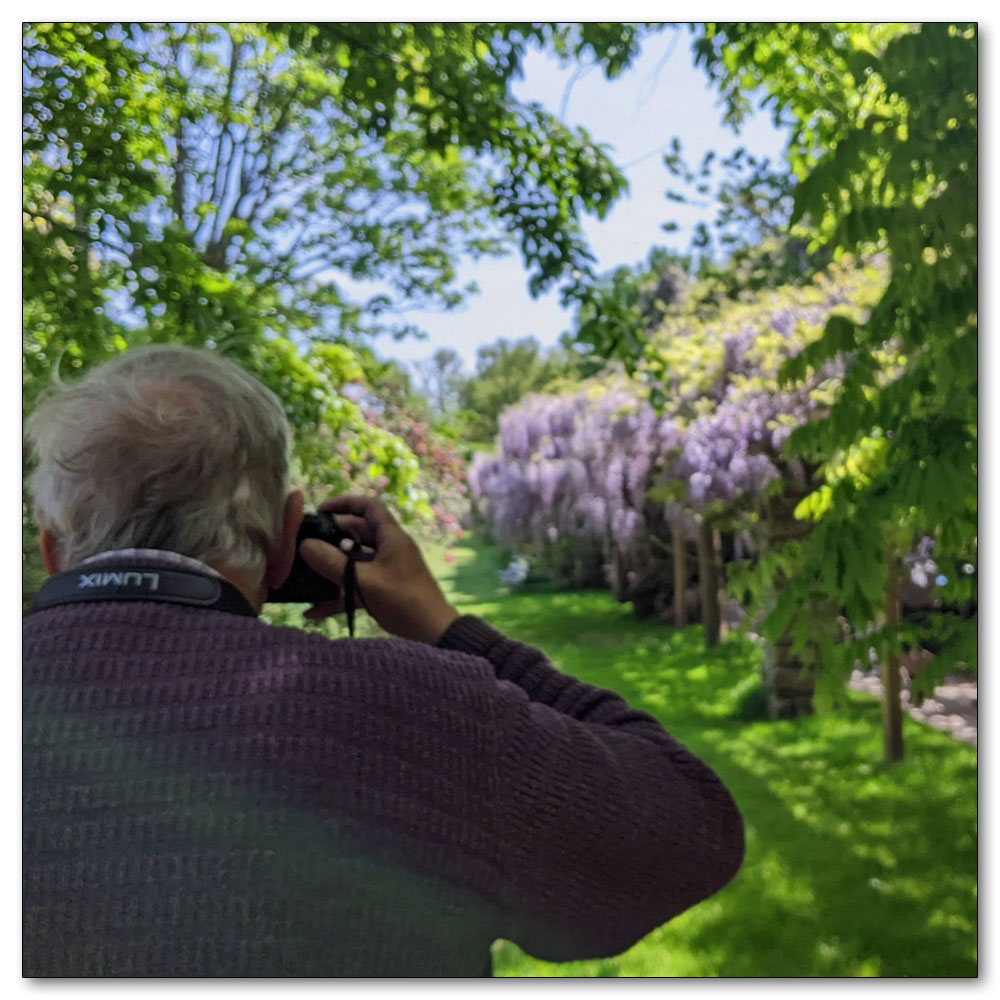 Nymans Gardens and House, 