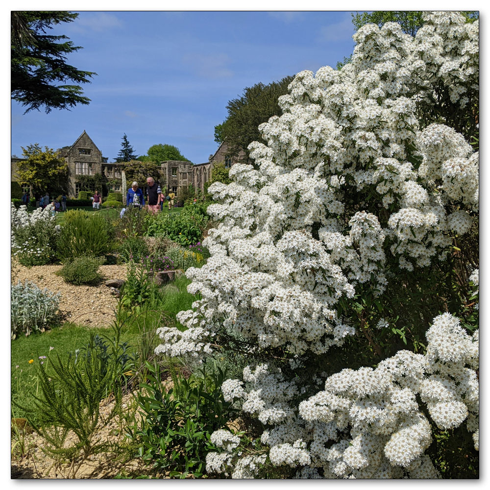 Nymans Gardens and House, 