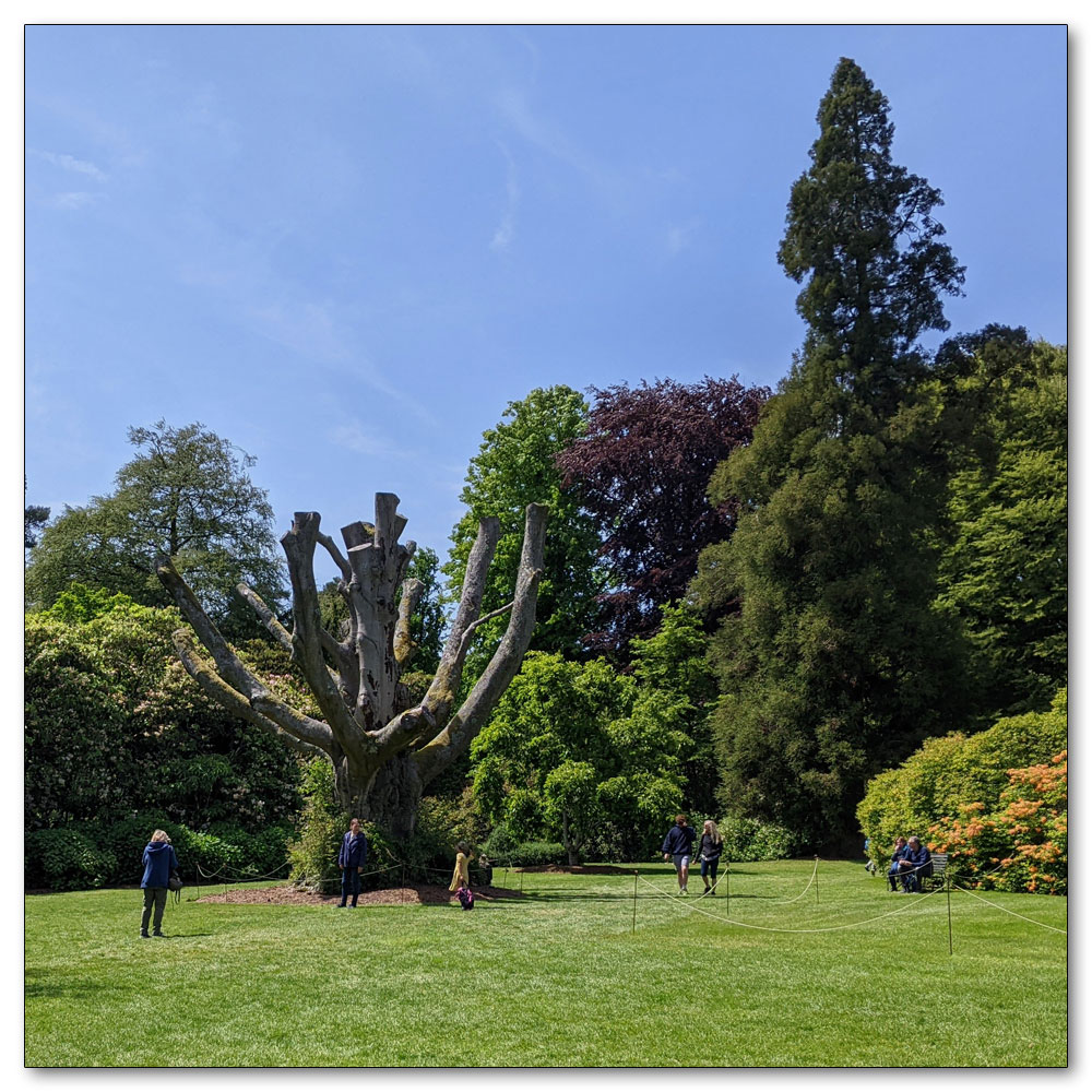 Nymans Gardens and House, 