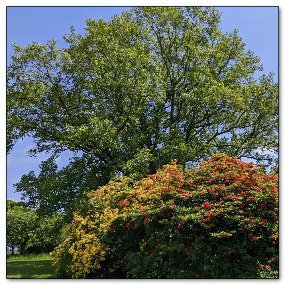 Nymans Gardens and House, 