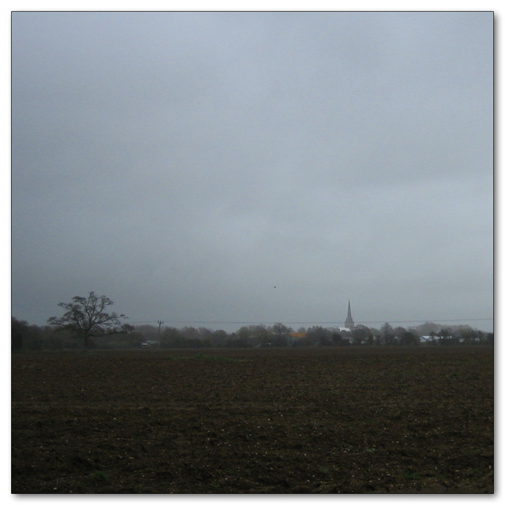 Manor Farm, Chichester Cathedral in the distance