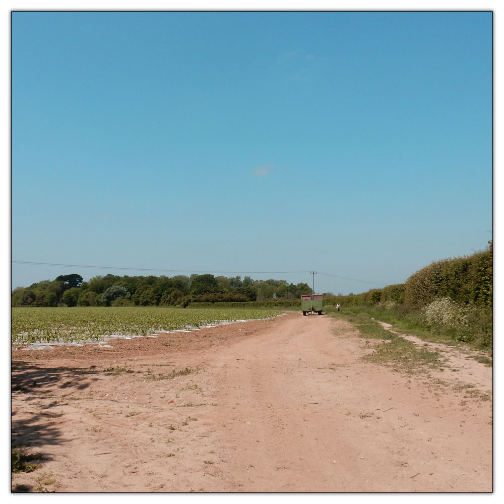 Jogging down the Fishbourne Channel, 