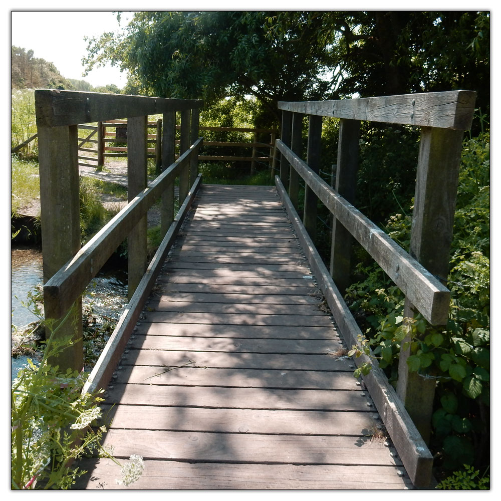 Jogging down the Fishbourne Channel, 