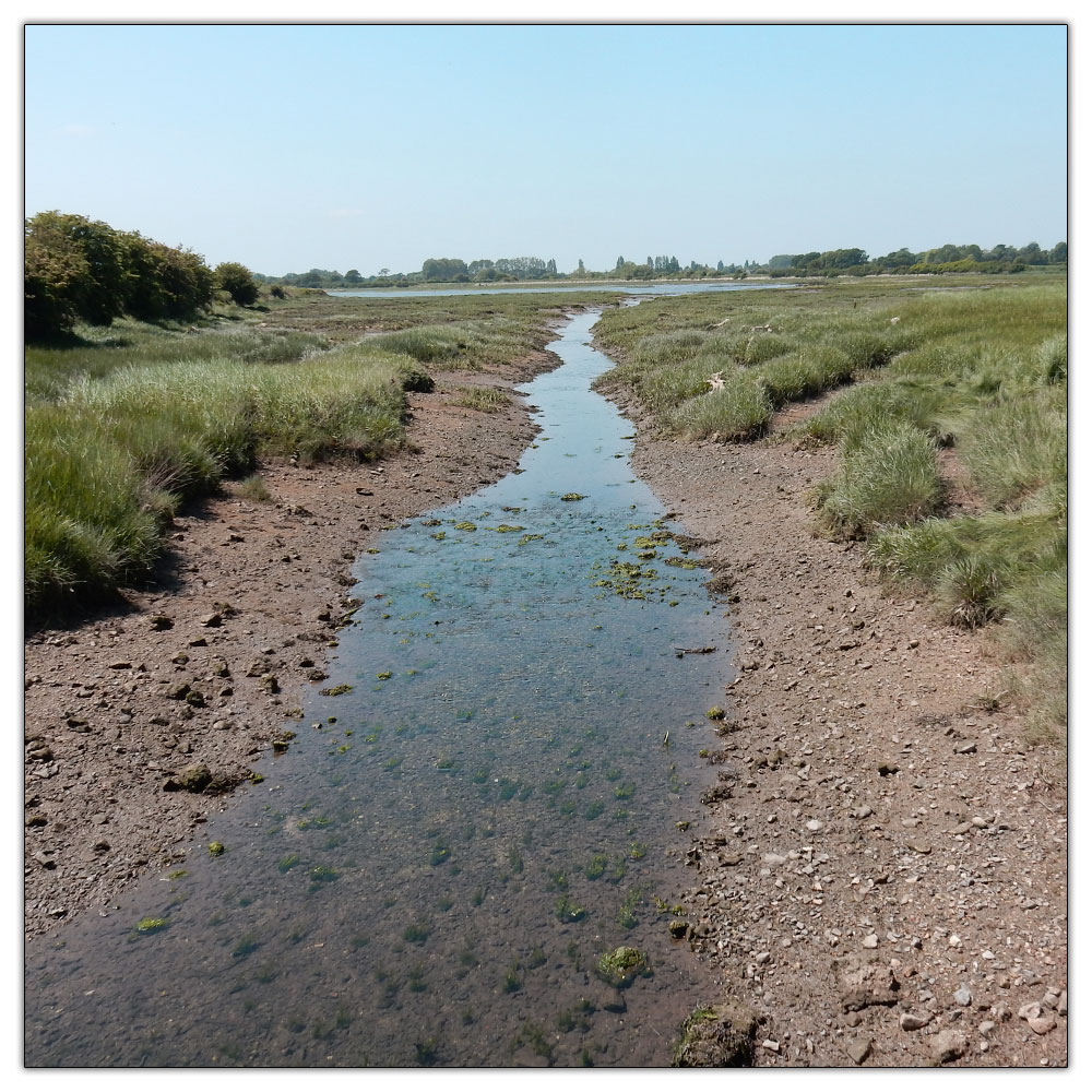 Jogging down the Fishbourne Channel, 