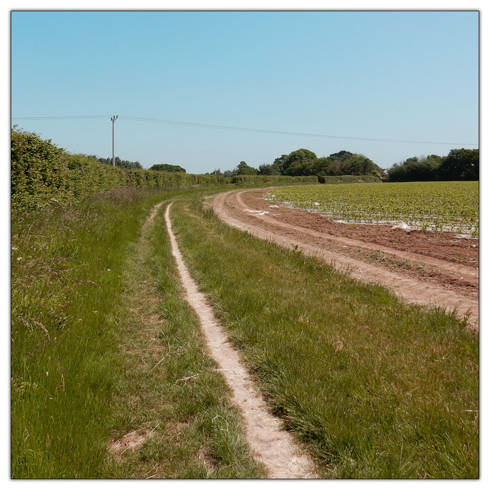 Jogging down the Fishbourne Channel, Back to the office