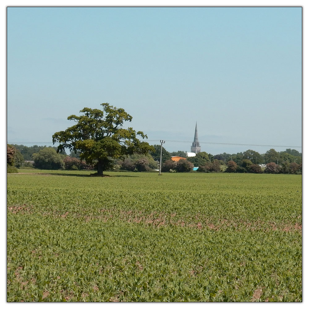 Jogging down the Fishbourne Channel, 