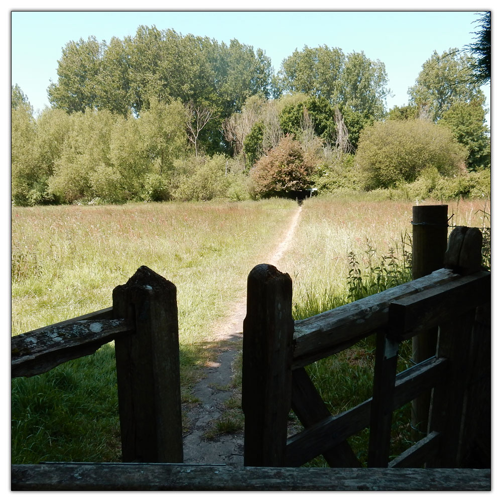 Jogging down the Fishbourne Channel, 