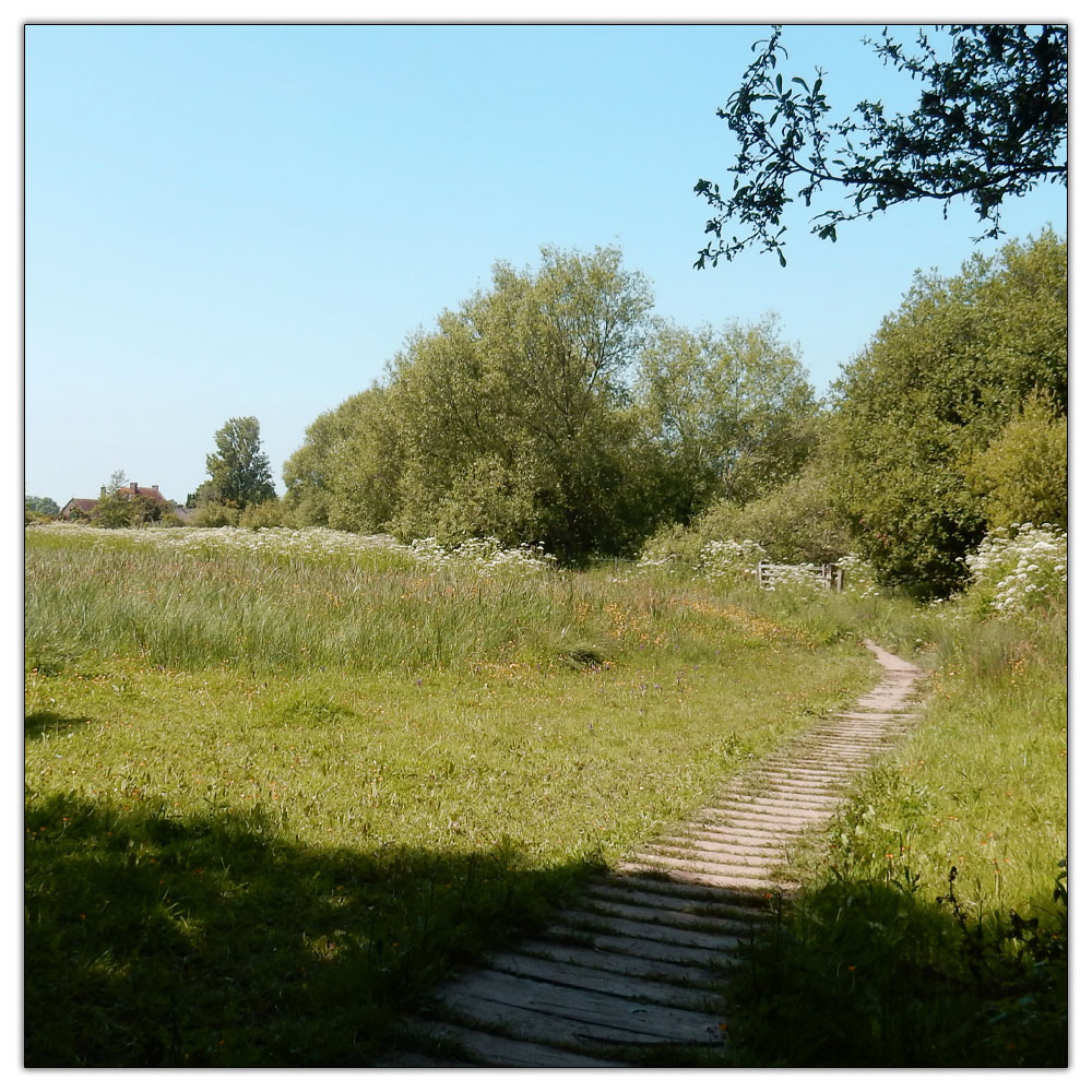 Jogging down the Fishbourne Channel, 