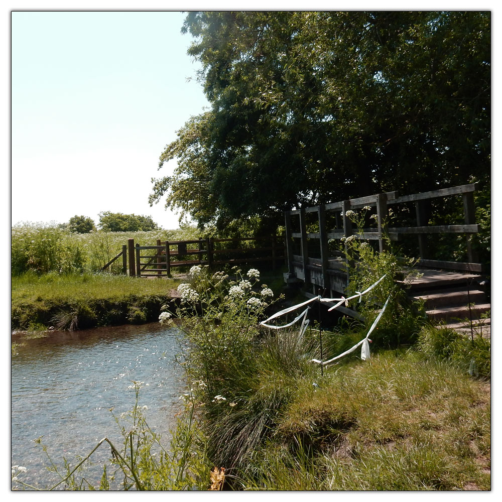 Jogging down the Fishbourne Channel, 