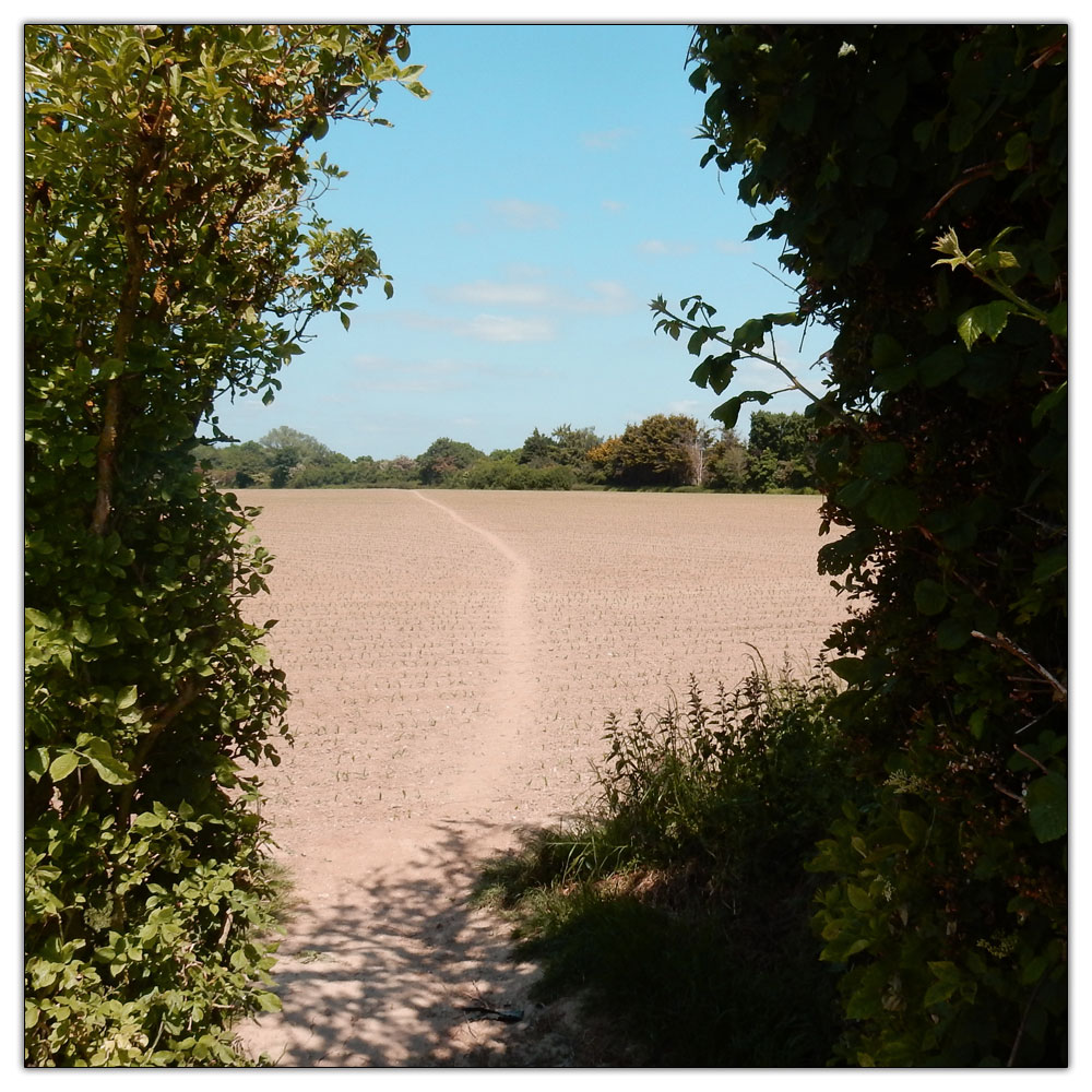 Walk to St Peter & St Marys Chruch, Footpath across ploughed field