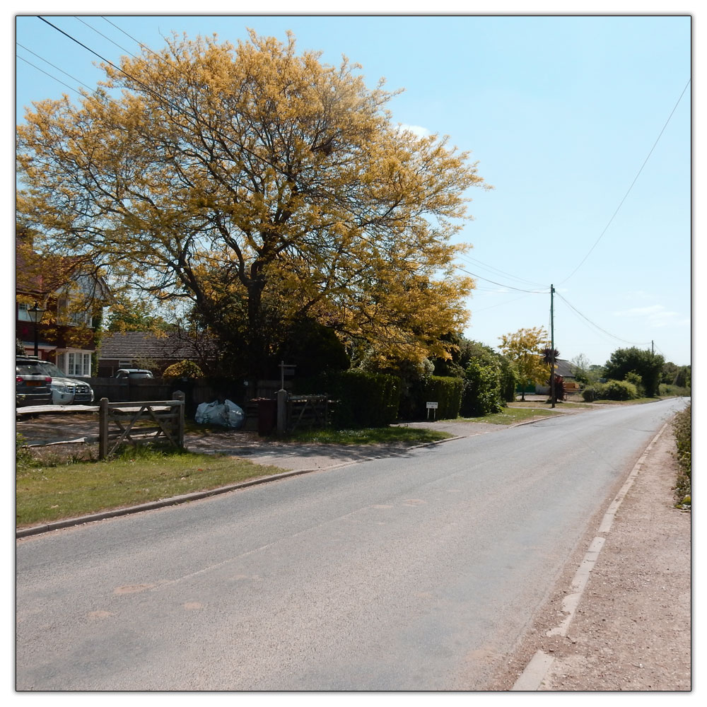 Walk to St Peter & St Marys Chruch, 