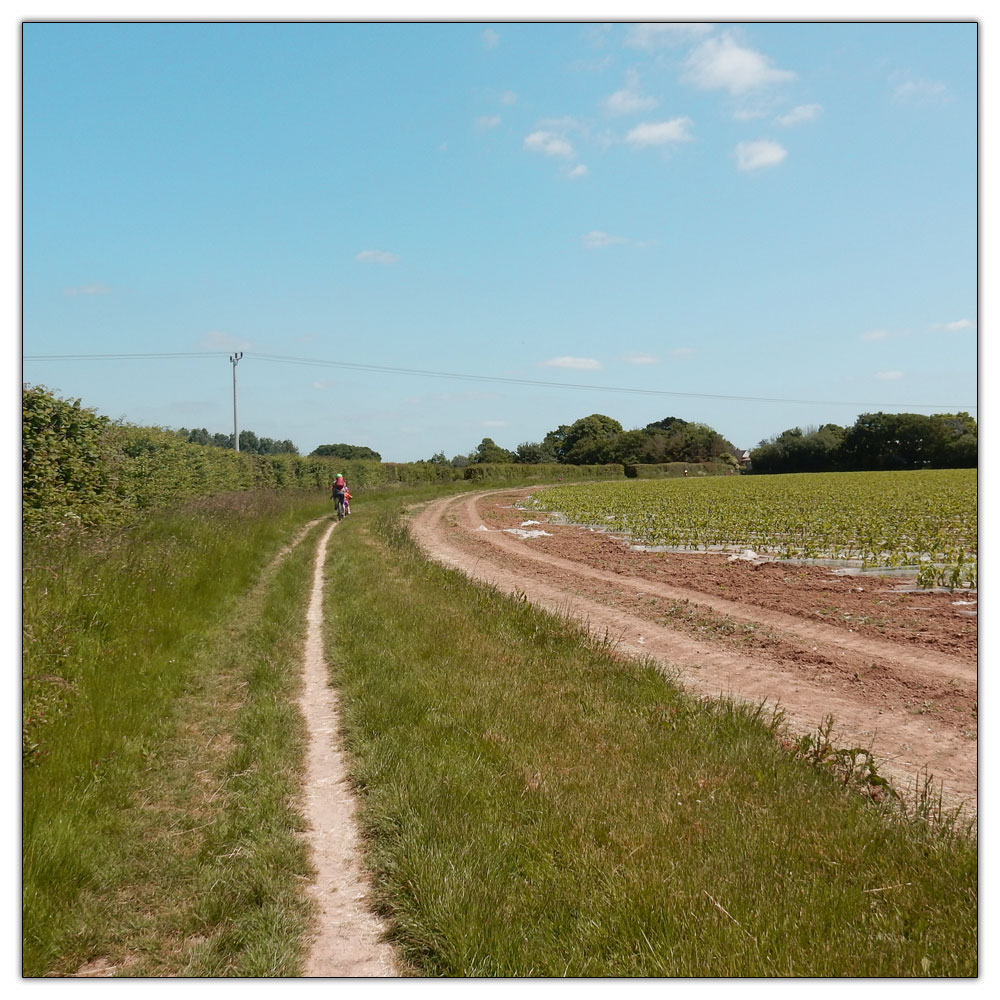 Walk to St Peter & St Marys Chruch, 