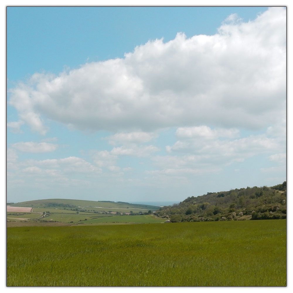 Chanctonbury Ring, 