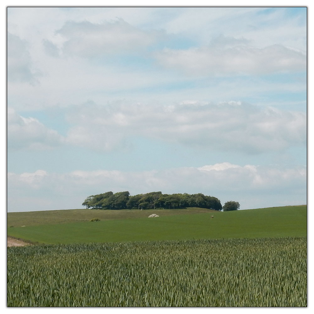 Chanctonbury Ring, Chanctonbury Ring