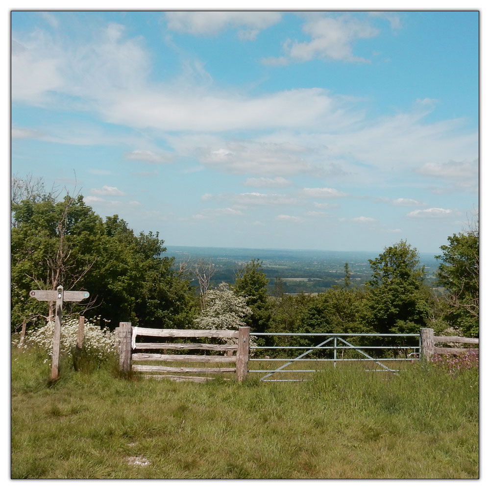 Chanctonbury Ring, 