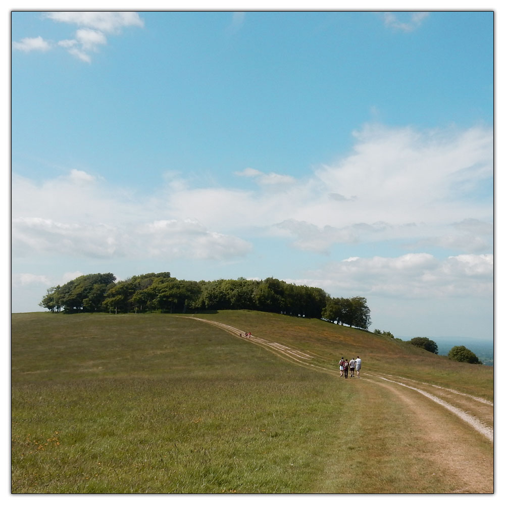 Chanctonbury Ring, Chanctonbury Ring