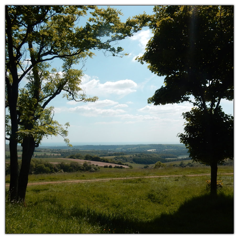 Chanctonbury Ring, View from Chanctonbury Ring