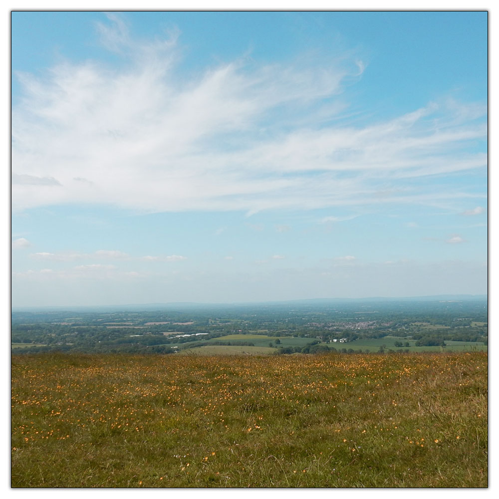 Chanctonbury Ring, 