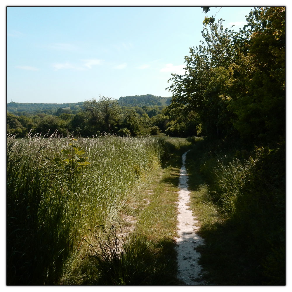 Chanctonbury Ring, 