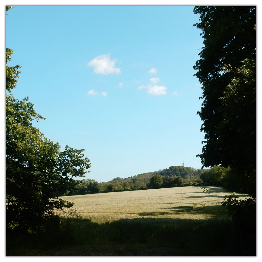 Chanctonbury Ring, 