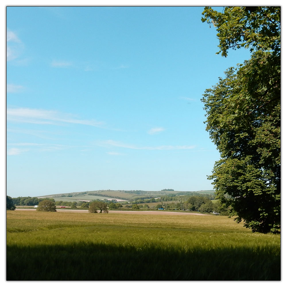 Chanctonbury Ring, 