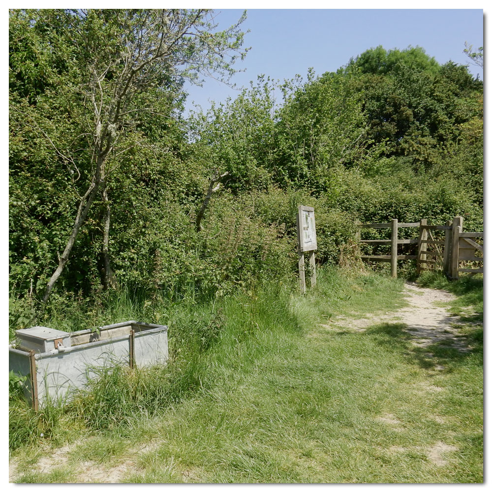 Dell Quay run, Leaving Fishbourne meadow