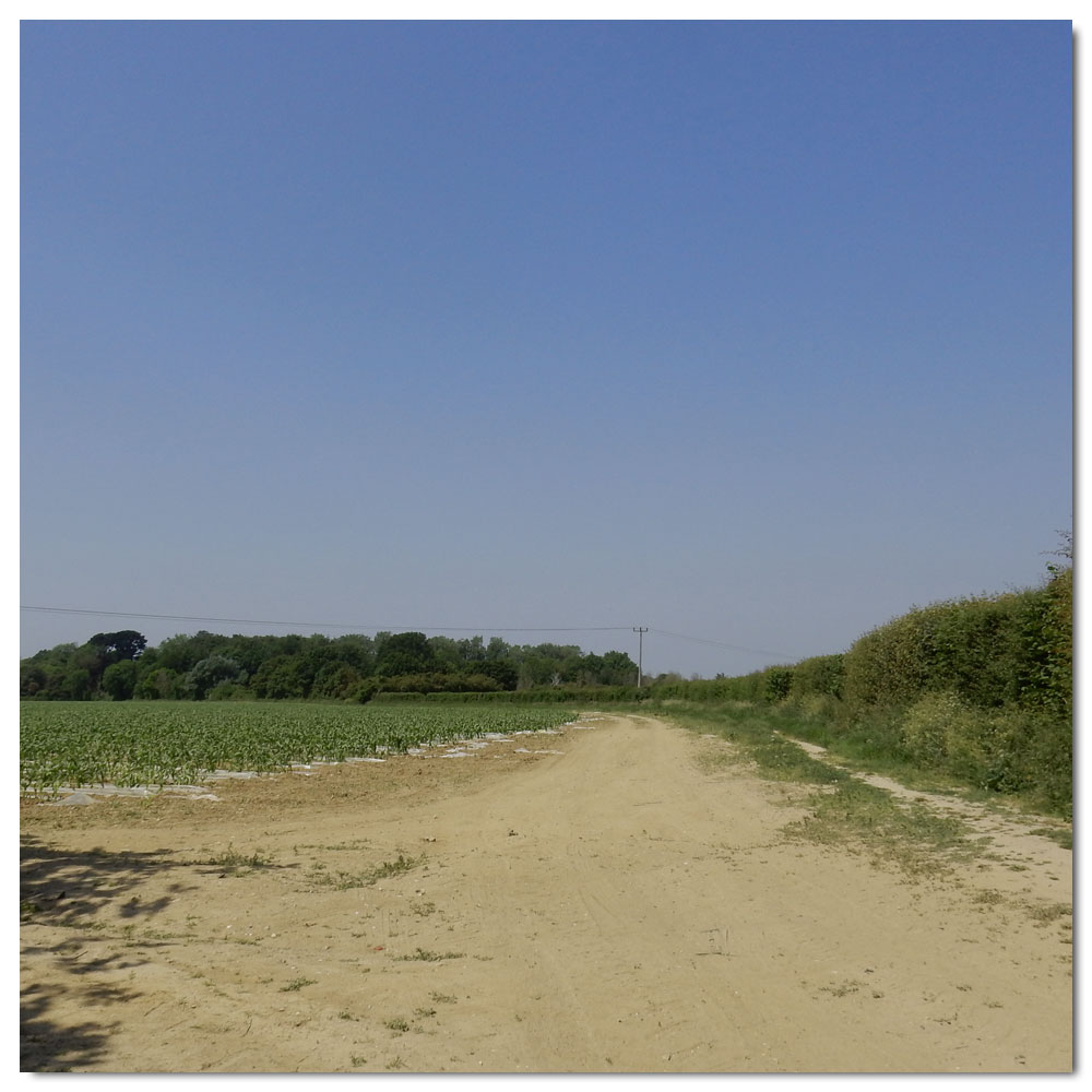 Fishbourne Meadow Run, 