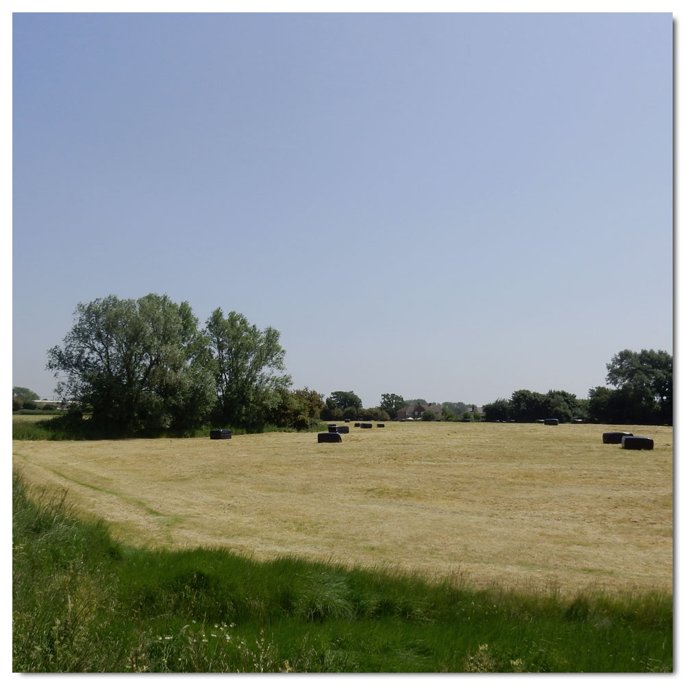 Fishbourne Meadow Run, 