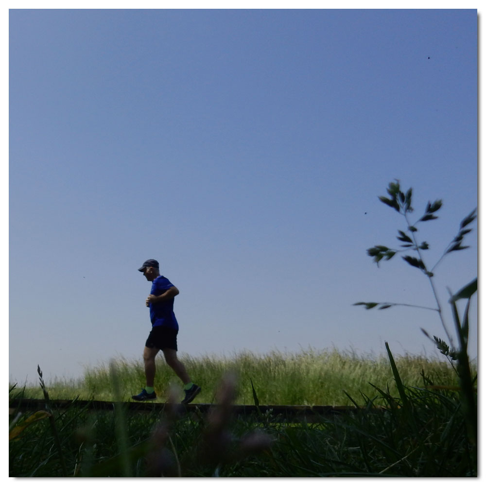 Fishbourne Meadow Run, 