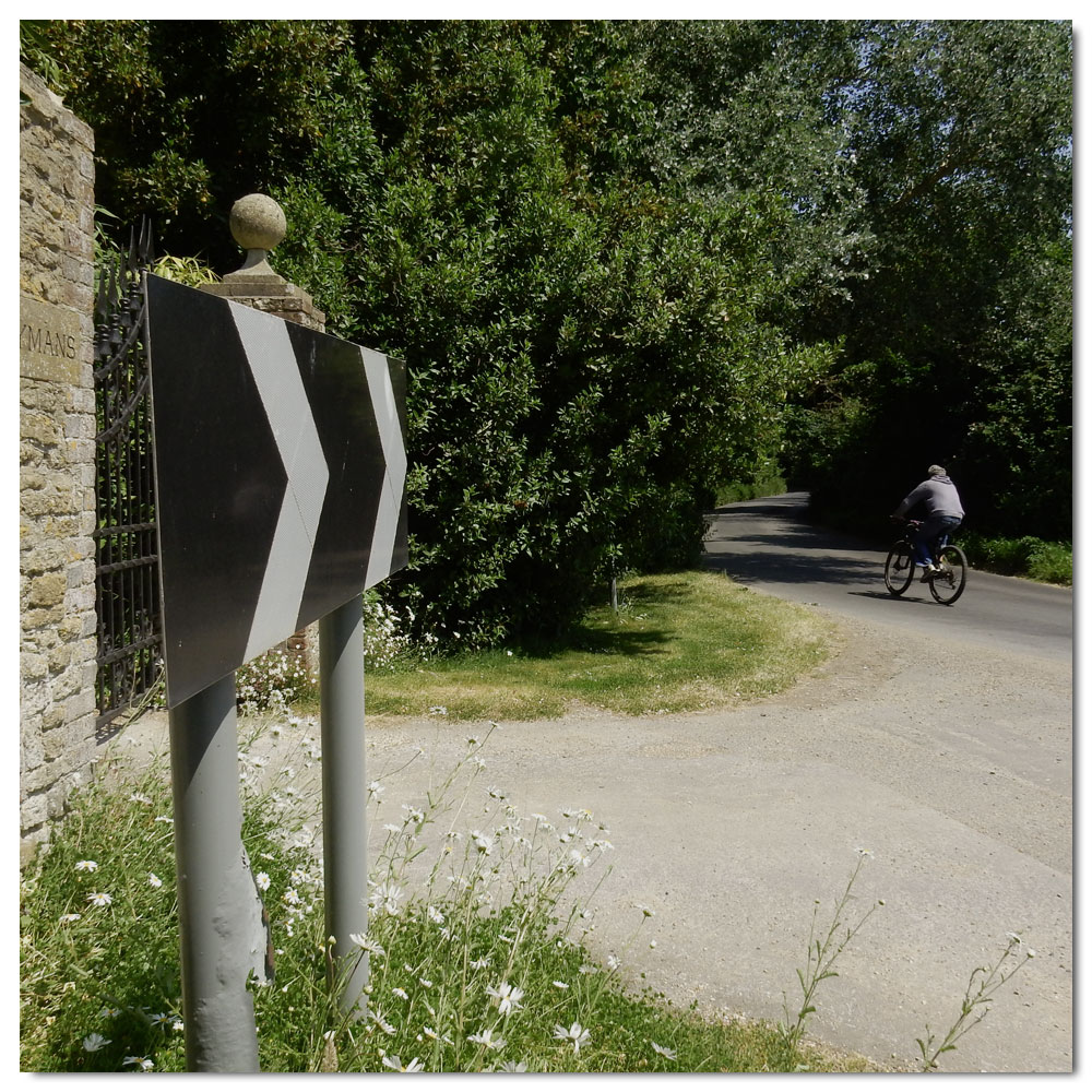 Fishbourne Meadow Run, 