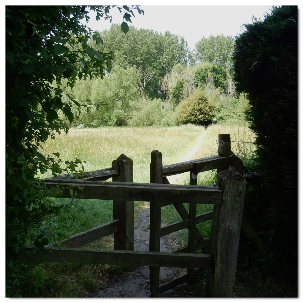 Fishbourne Meadow Run, 