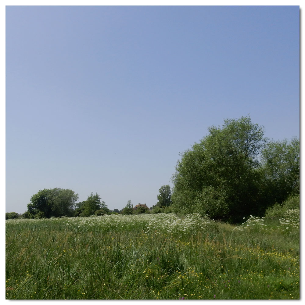 Fishbourne Meadow Run, 