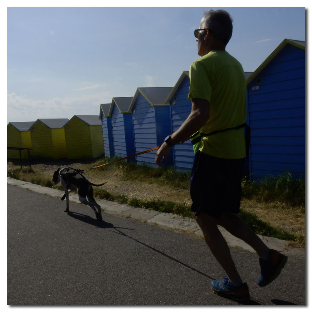 Littlehampton Parkrun, 143, 