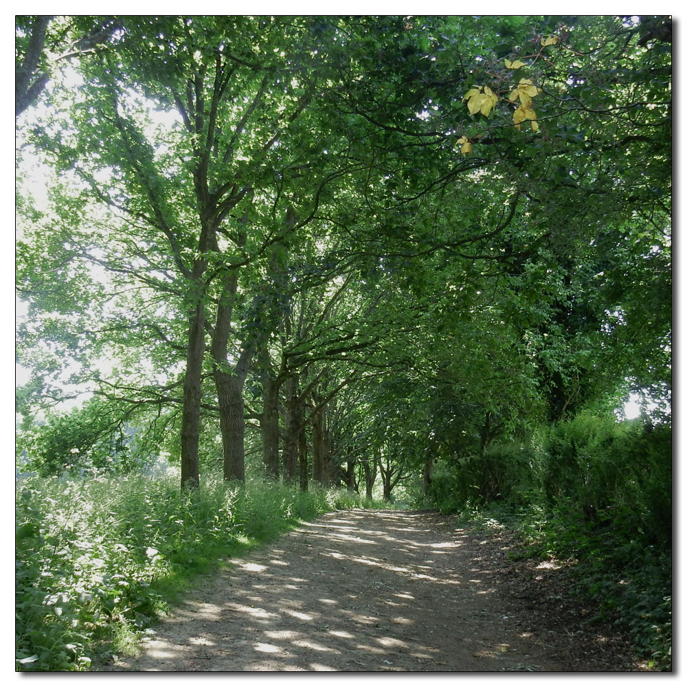 Walk up Denne Hill, Horsham, 