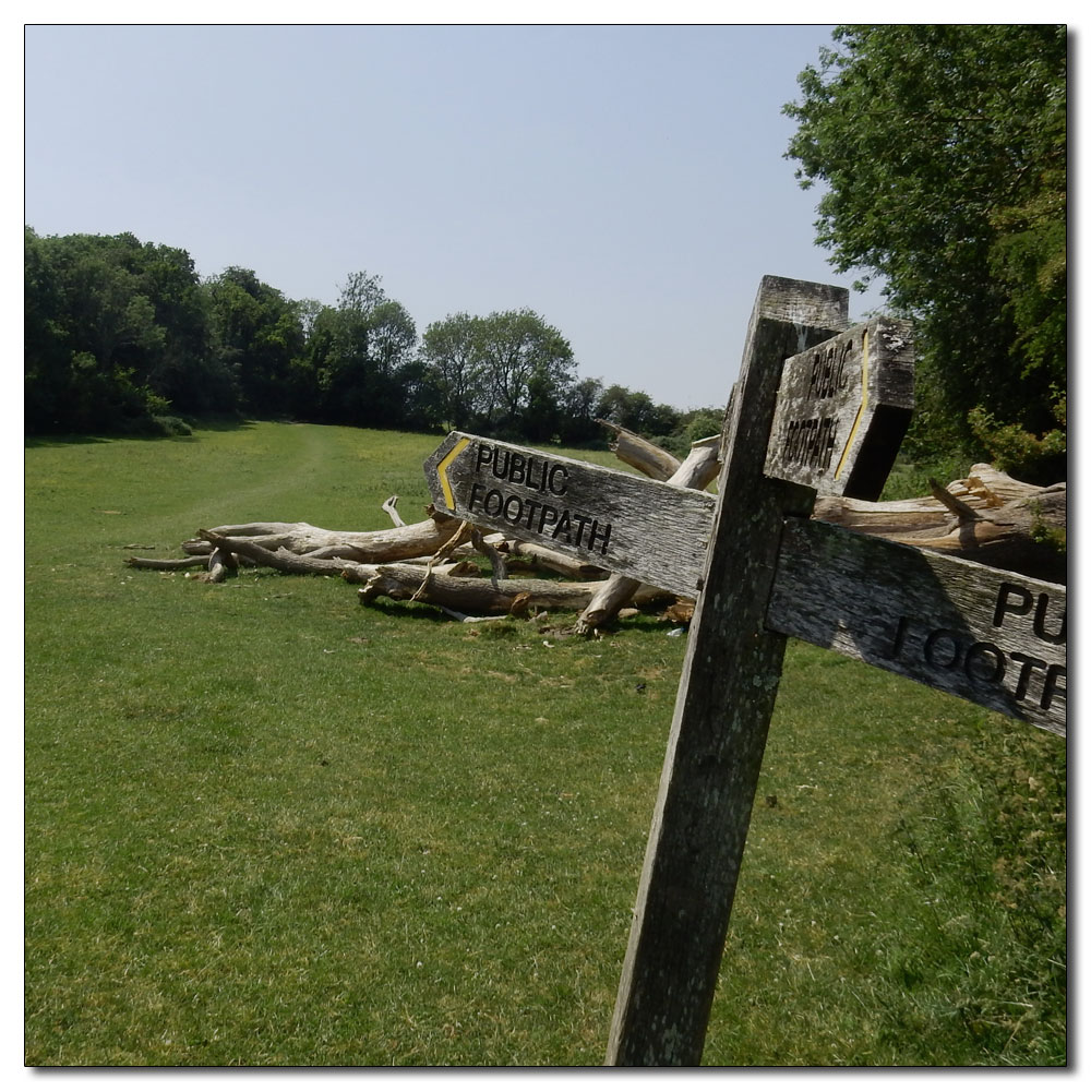 Walk up Denne Hill, Horsham, 