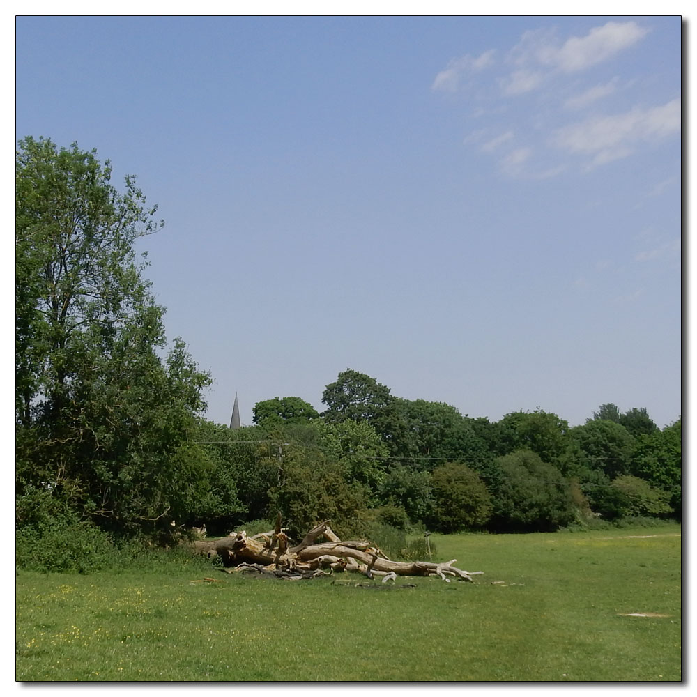 Walk up Denne Hill, Horsham, 